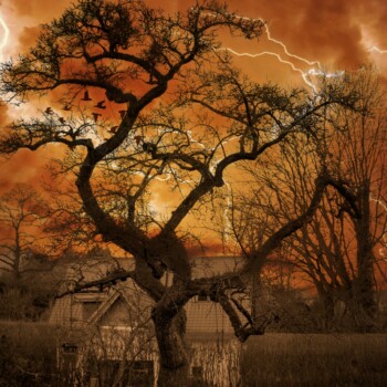 Photoshop La Hulpe Gaillemarde Photographie et retouches photos