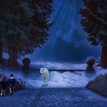 Retouche photos La Hulpe