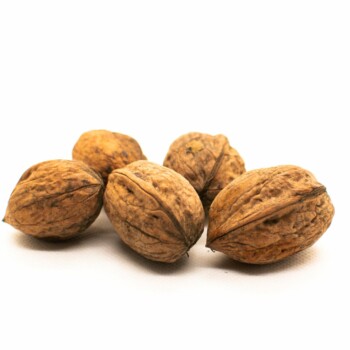 Photographie sur fond blanc