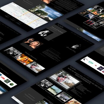 Maquette site web Pierre Olivier Tulkens