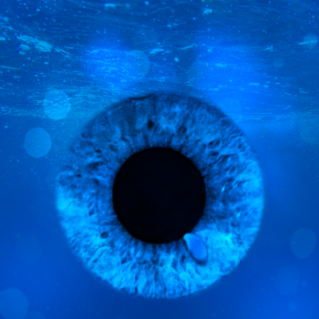 Pupille montage photo